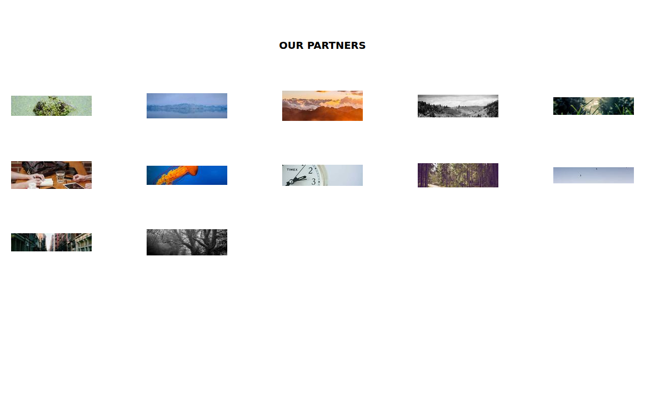 로고 그리드 블록 렌더링